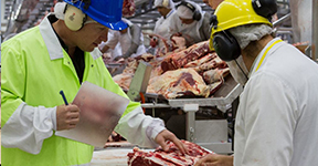 Meat processing Qualifications