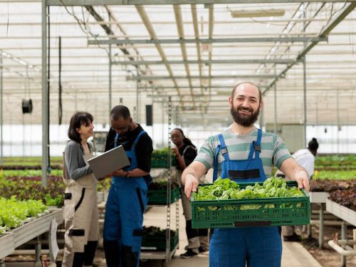 Principles and applications of HACCP
