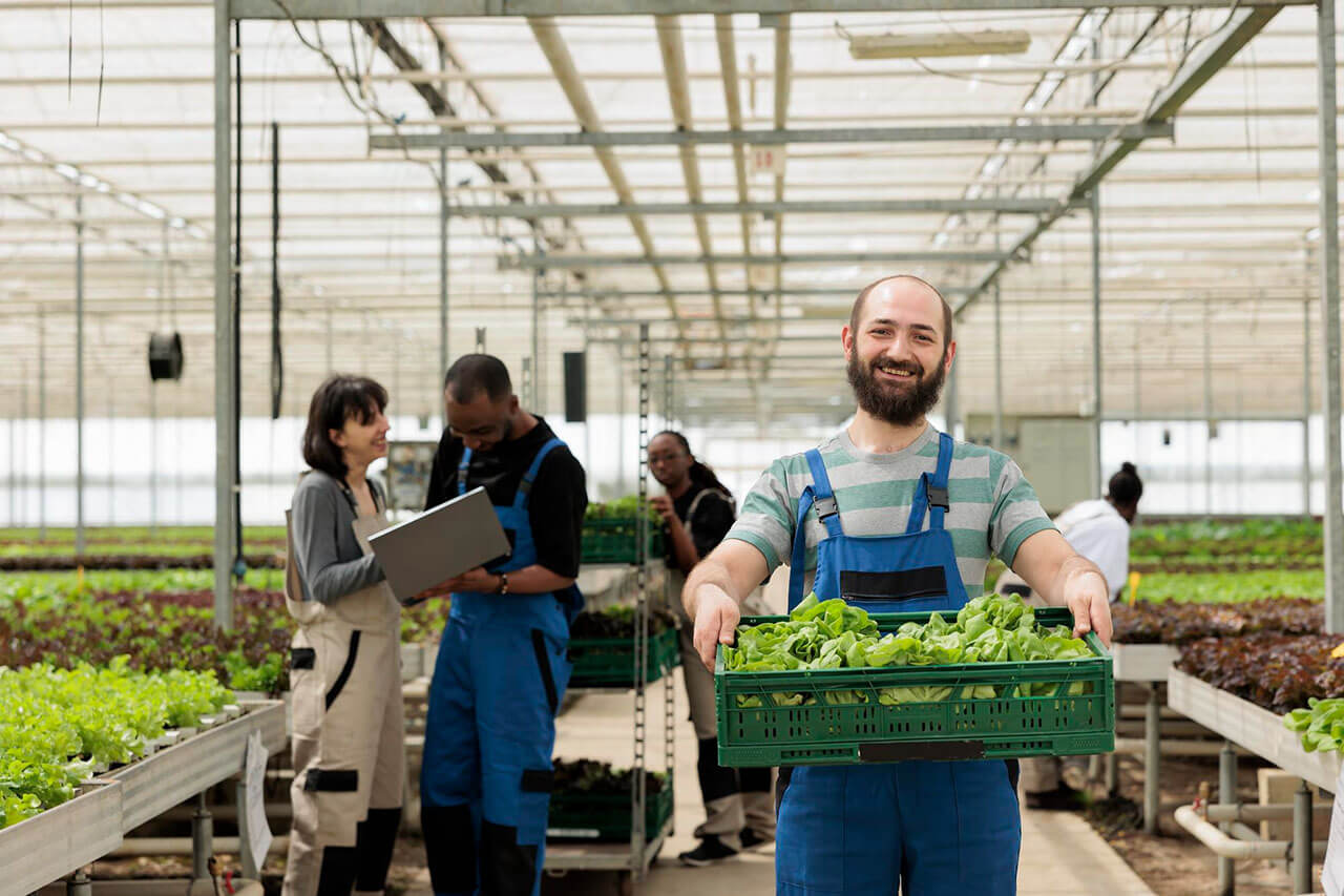 What are the best HACCP training programs for food manufacturing in Australia?