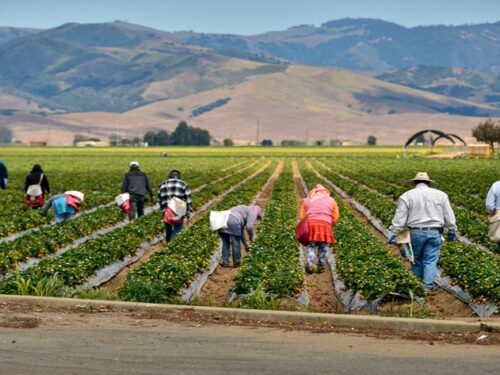 Corporate Social Responsibility for Business