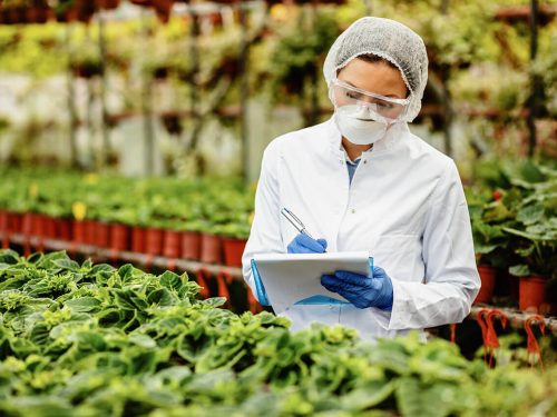 Introduction to food safety