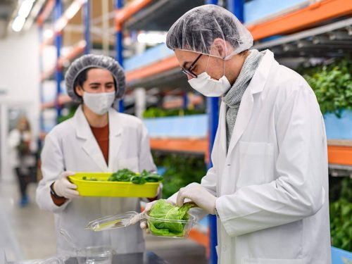 Food safety supervisor – Food processing